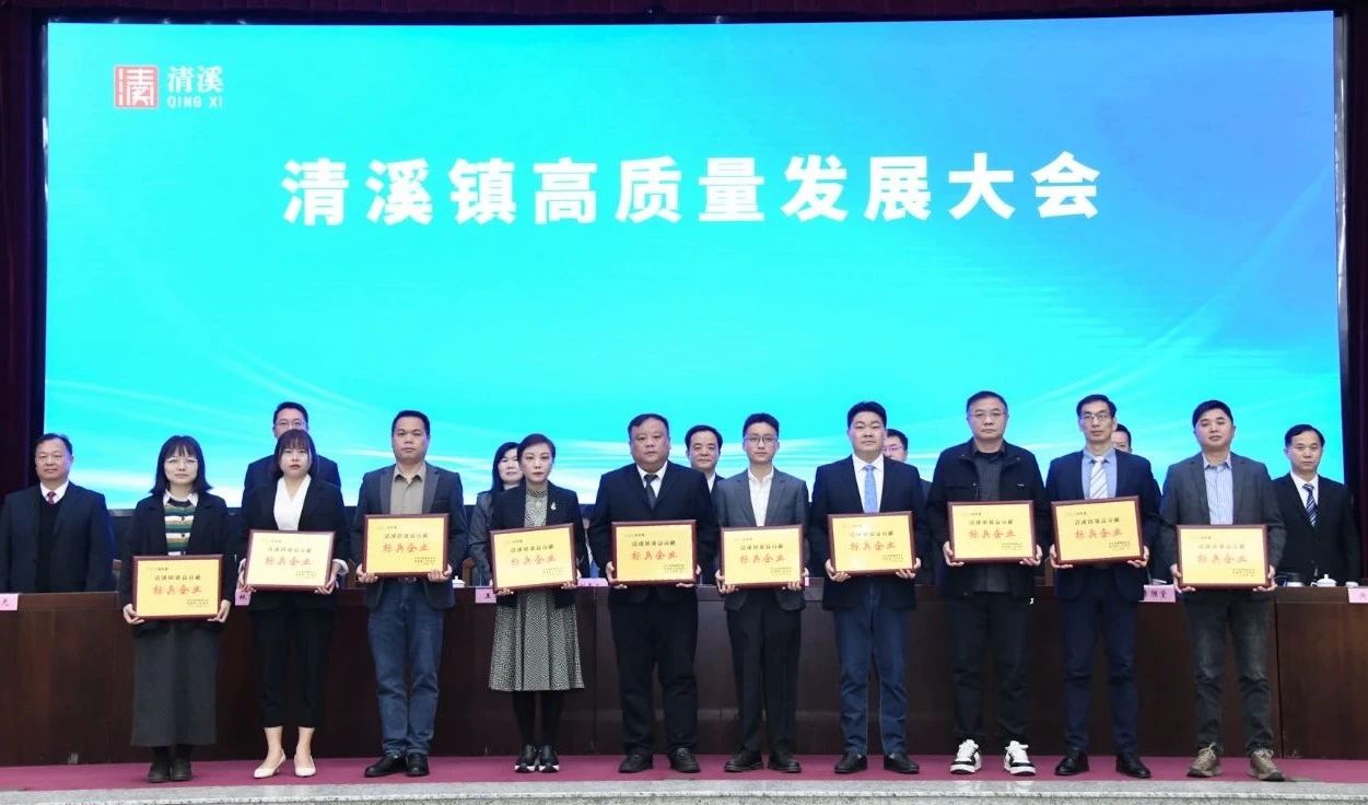 喜讯：永利皇宫手机app科技荣获2024年度“清溪镇主营业务收入及效益贡献标兵企业”