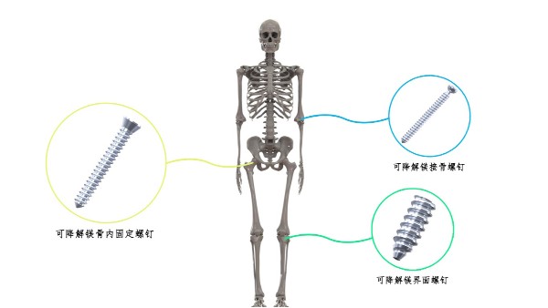 喜讯：永利皇宫手机app科技荣获2024中华医学科技奖
